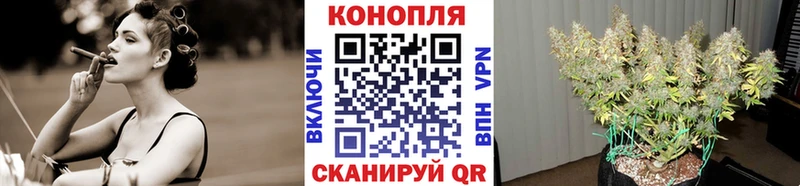 Бошки Шишки Гудермес