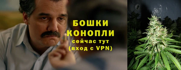 МДМА Бородино