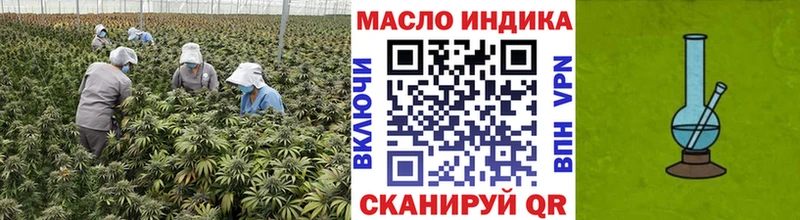 ТГК Wax  сколько стоит  Гудермес 