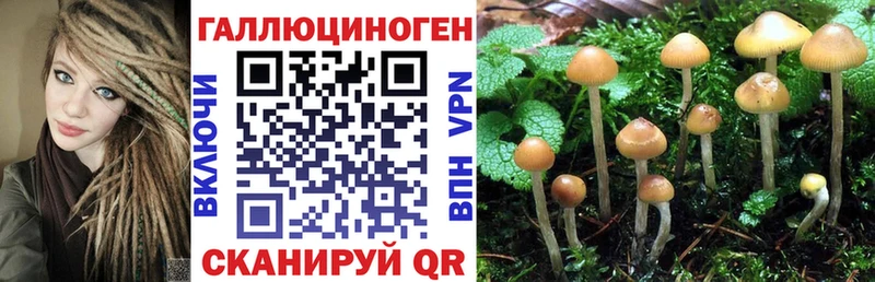 даркнет сайт  Гудермес  Галлюциногенные грибы MAGIC MUSHROOMS 
